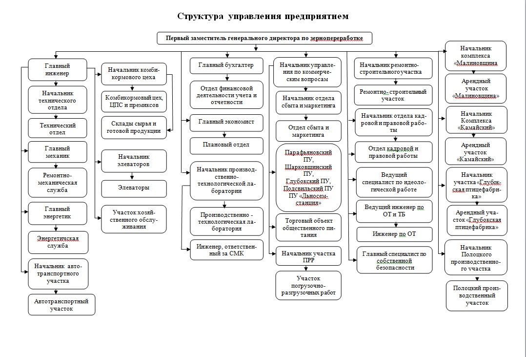 Структура управления предприятием